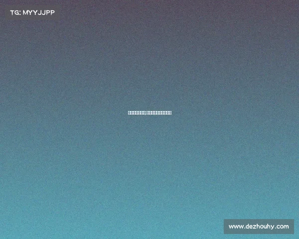 女排二队的赛事;女排二队的赛事有哪些