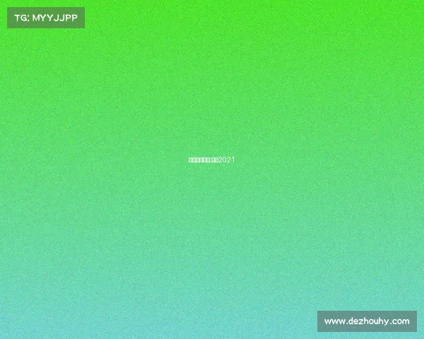 焦点赛事分析;焦点2021